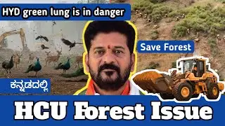Hyderabad HCU forest issue | Kancha Gachibawli forest | Kannada | #prashantmeti