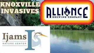 Invasive species and Alliance Brewing in Knoxville Tn