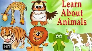 Learn Animals Name/Animals/Animal Name in English/AAZKIDSCARTOON/@bauaatv