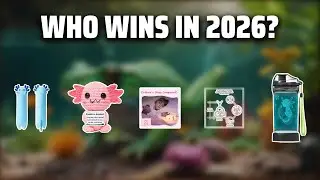 The Top 5 Best Live Axolotl in 2026 - Must Watch Before Buying!