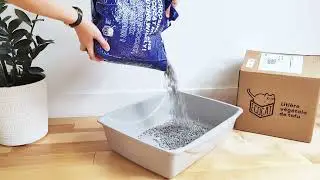 Ecocat litter - plant-based litter demo