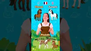 Les animaux en famille 2 🇫🇷 #apprendre #enfants #d&eacute;butant #education #maternelle #fran&ccedil;ais