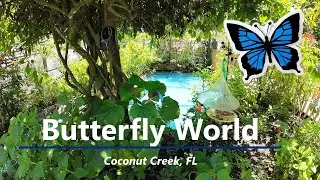 Butterfly World (2023)