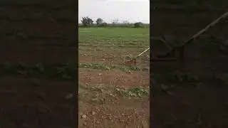 Hand tool for grass cutting