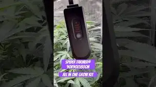 Spider Farmer&reg; 90X90X180cm Complete Grow Tent Kit SF2000PRO EVO 200W  #crazybud #420 #growled