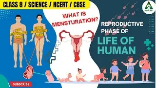 AARSHI l Reproductive Phase of Life in Human l Class 8 l Science l CBSE l KG to PG