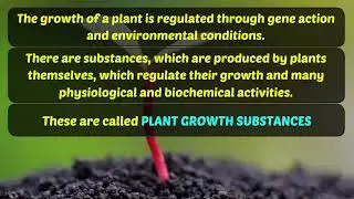 Plant Growth Substances