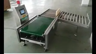 Checkweigher with rejection system