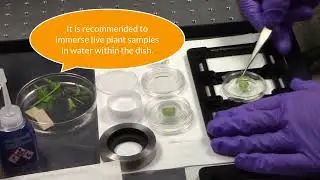 Laser Confocal Microscope: Sample Loading SOP