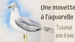 Tutoriel à l'aquarelle : une mouette pas à pas