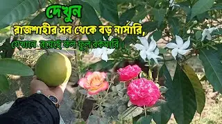দেখুন রাজশাহীর সব থেকে বড় নার্সারি,রাজশাহী কৃষি উন্নয়ন উদ্যান।