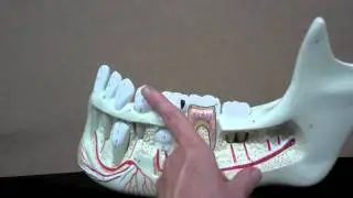 common children's dental problems