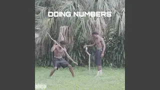 Doing Numbers
