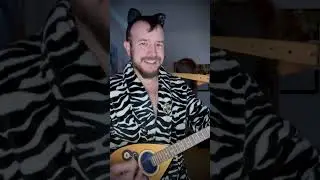 Tzouras-bouzouki - Zebra Cat