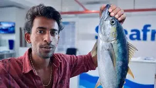 &ldquo;Changing the Way Fish Markets Look and Feel.&rdquo; 🐬🦈 #youtube #vlog 