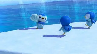 Pokemon didn't lie about Piplup &hellip;😵&zwj;💫