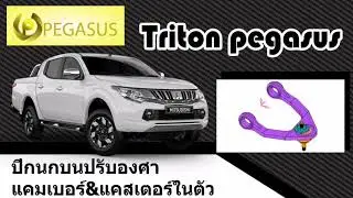 PEGASUS UPPER CONTROL ARMS TRITON