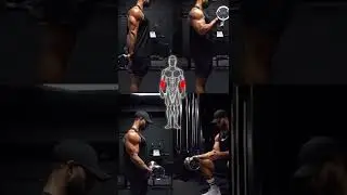 four arms work out 💪💪
