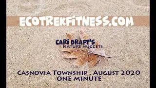 Casnovia Township  : August 2020 : NATURE NUGGET : ONE MINUTE