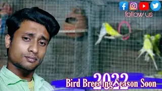 birds breeding season soon 2022. maldabirdsinfo. Tanmay das.