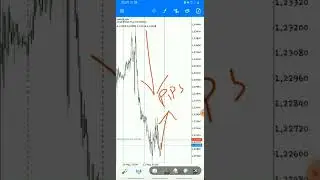 The Basics 3/12 Base, Quote, Ask, Bid, Pips and Pippets.