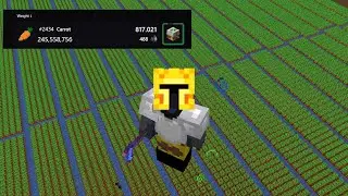 I Want To Be A Top Carrot Farmer On Hypixel Skyblock