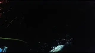 Big Gai Fish - Ikan Sagai Besar