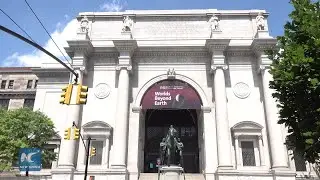 Theodore Roosevelt statue to be removed from NYC museum