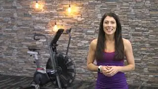 Schwinn Airdyne Pro Commercial Grade Air Bike