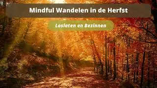 Mindful Wandelen in de Herfst 🍁🍂