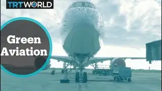 Airlines seeking eco-friendly initiatives for consumers