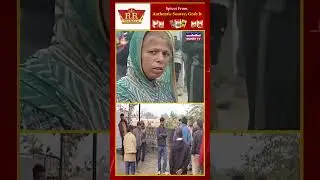 Heroic Sacrifice: Anganwadi Worker Saves Children from Deadly Bee Attack in Madhya Pradesh