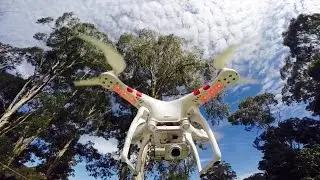 Eye in the sky