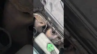Разборка Suzuki-SX4 2006-2014, 1,6 (VIN:TSMEYB21S00172016)   77979