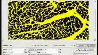 GSA Image Analyser