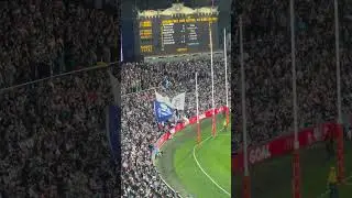 Geelong Cats fans at Adelaide Oval: Flags Flying Near the Goal