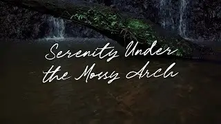 Serenity Under the Mossy Arch | Nature Water Sounds