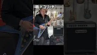栃&times;コリーナ FV - ディバイザーワンデイ 2025モデル