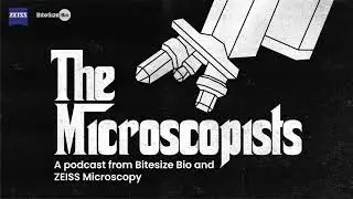 UNESCO International Day of Light - The Microscopists Lightbulb Moments!