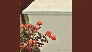 I'm Gone