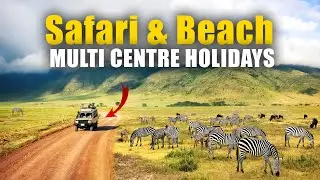 Safari & Beach Multi Centre Holidays - Unmatched Adventure! | 7 Seas Holidays UK