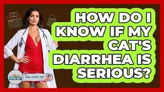 How Do I Know If My Cat's Diarrhea Is Serious? - Ask A Pet Vet