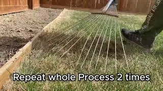 Grass Thatching After Winter 2024
