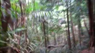 Goa National Park