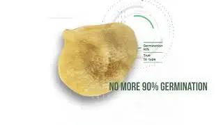 GeNee&trade; Sorter - sneak peek of Seed-X's AI-powered seed sorter