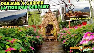 Darjane's Garden in La Trinidad Benguet | Darjane's Garden (Glow in the Dark Poinsettias)
