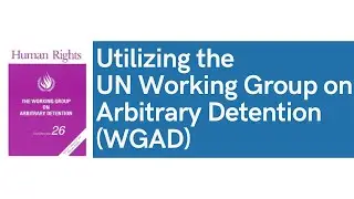 Utilizing the UN Working Group on Arbitrary Detention (WGAD) (English Subtitles Available)