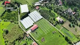 San Luca: serre abusive su 35.000 metri quadrati in area vincolata, quattro denunciati