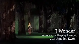 'I Wonder' Sleeping Beauty - Male Cover