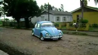 Zuleika ratvolks